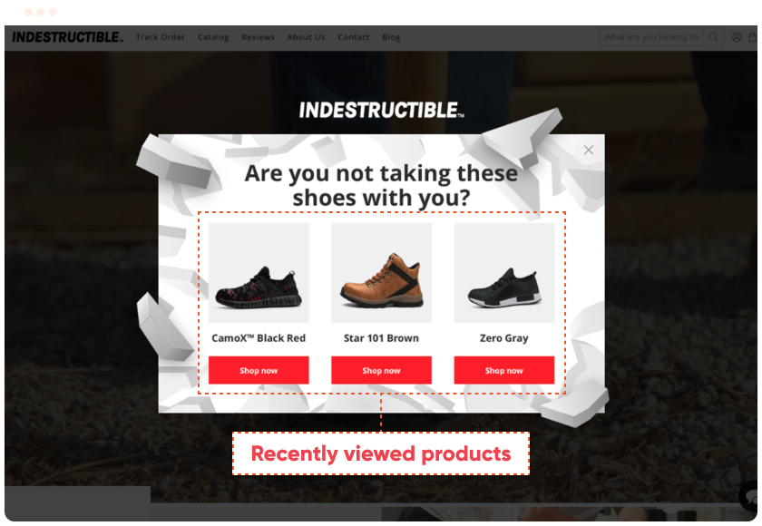 Remind abandoners of their recently viewed products